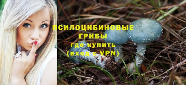 гидропоника Алзамай