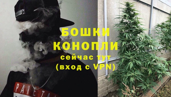 мдпв Михайлов