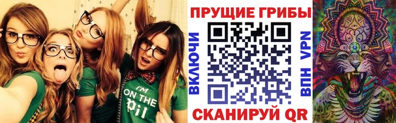 кракен ссылки  Мышкин  Галлюциногенные грибы прущие грибы  купить закладку 